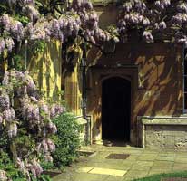 University College: Radcliffe